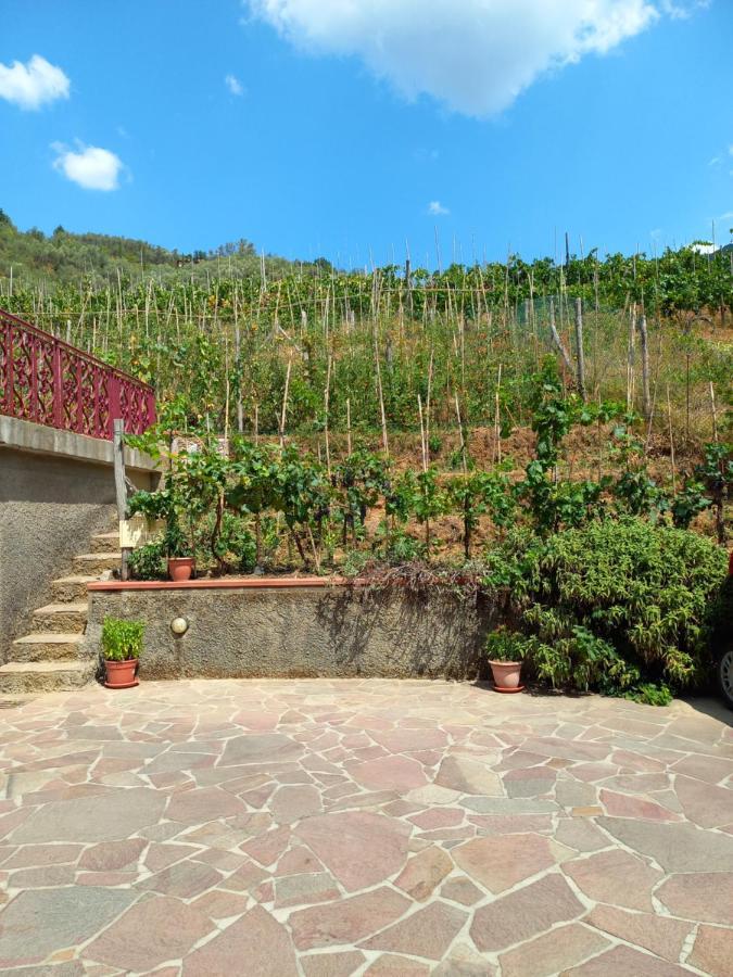 Villa Ester 卡麦奥雷 外观 照片